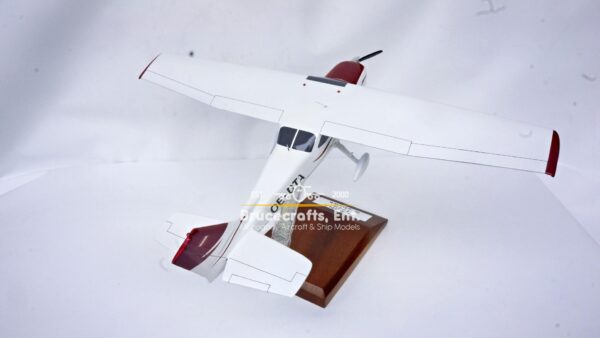 Cessna 172 Skyhawk OE-DTA - Image 2